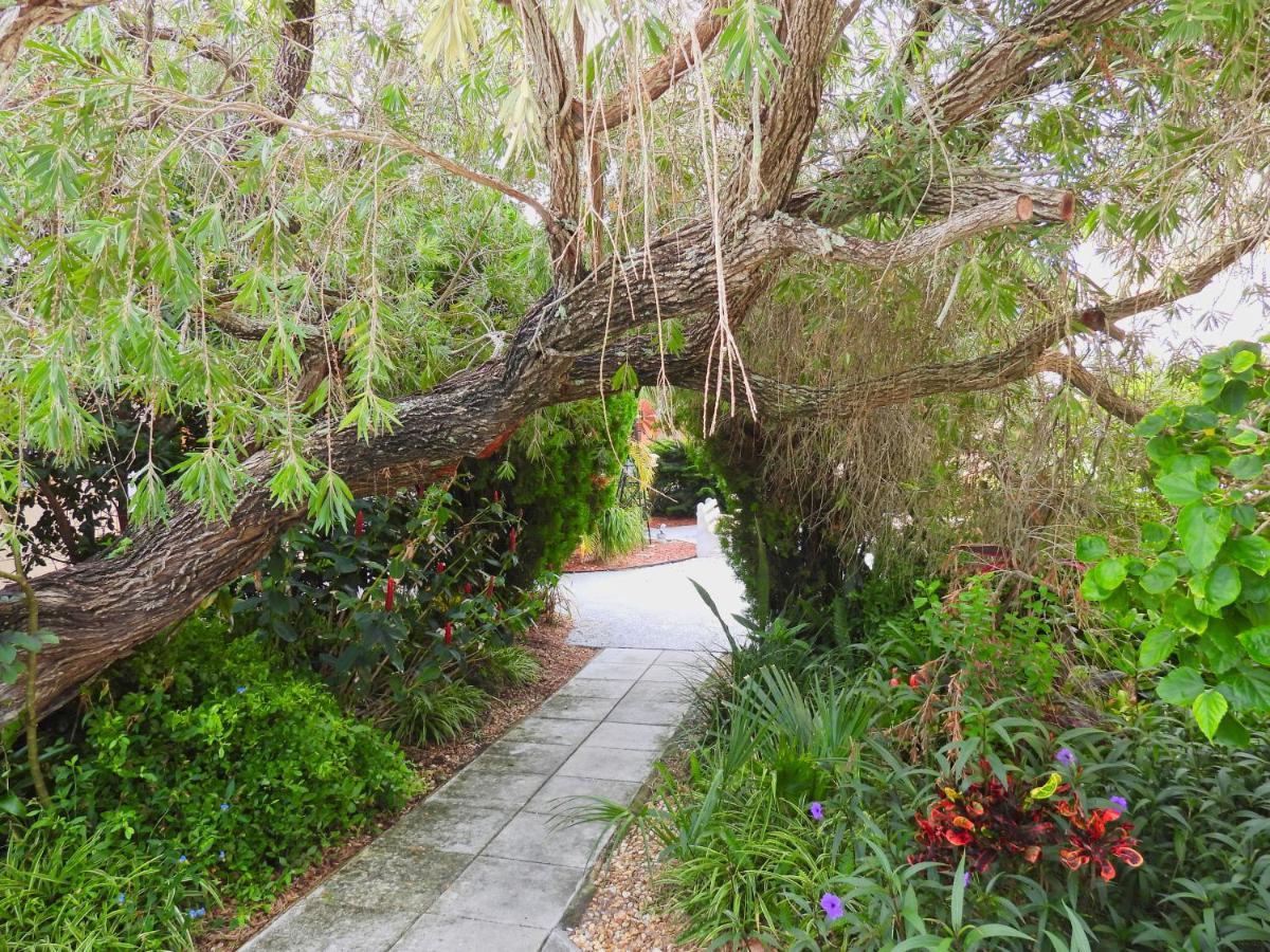 Cozy Canaveral Beach Condo! Next To Nasa Launch Site Cape Canaveral Eksteriør billede